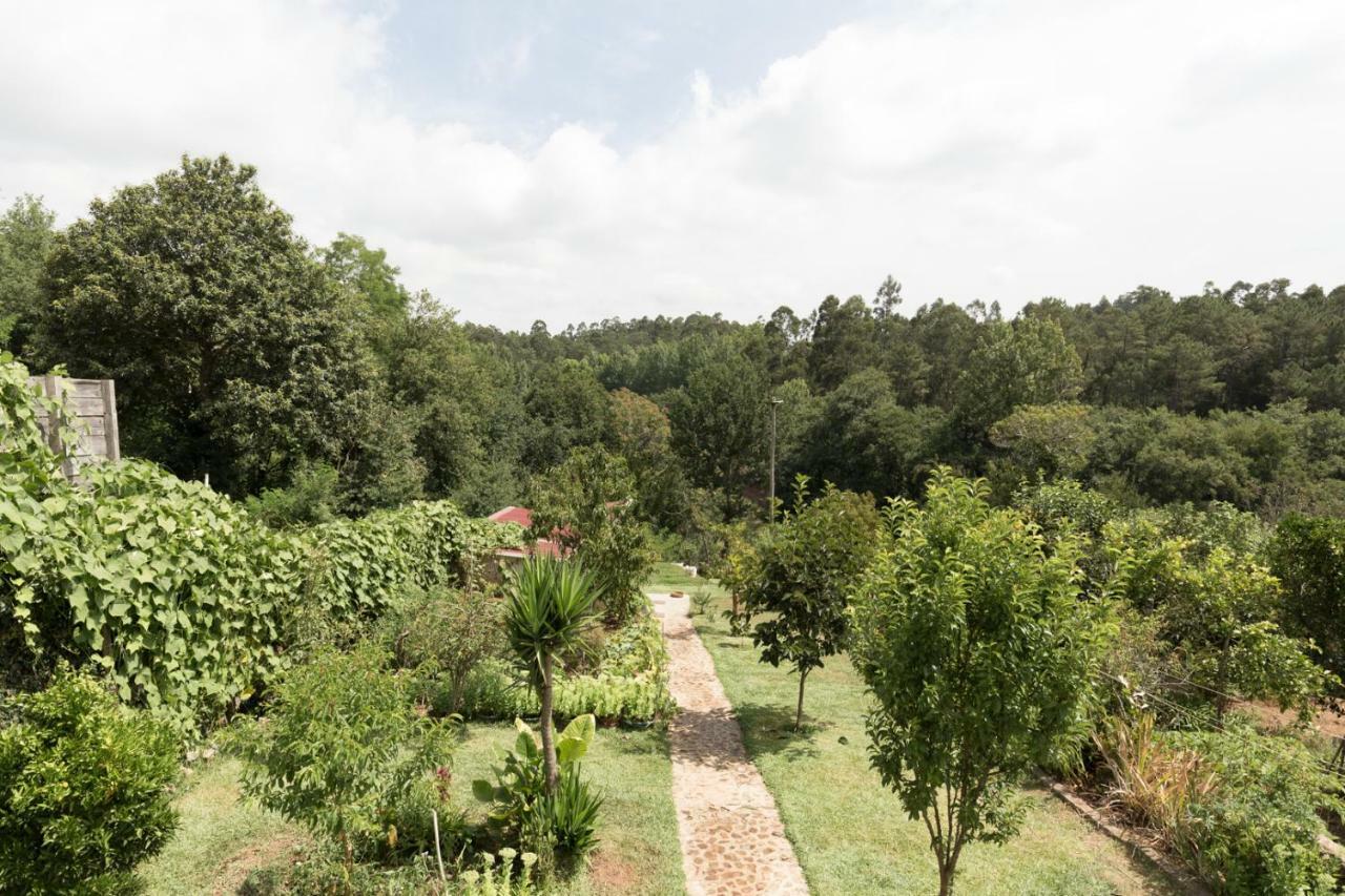 Отель Casa Do Campo Al Caldas de Sao Jorge Экстерьер фото