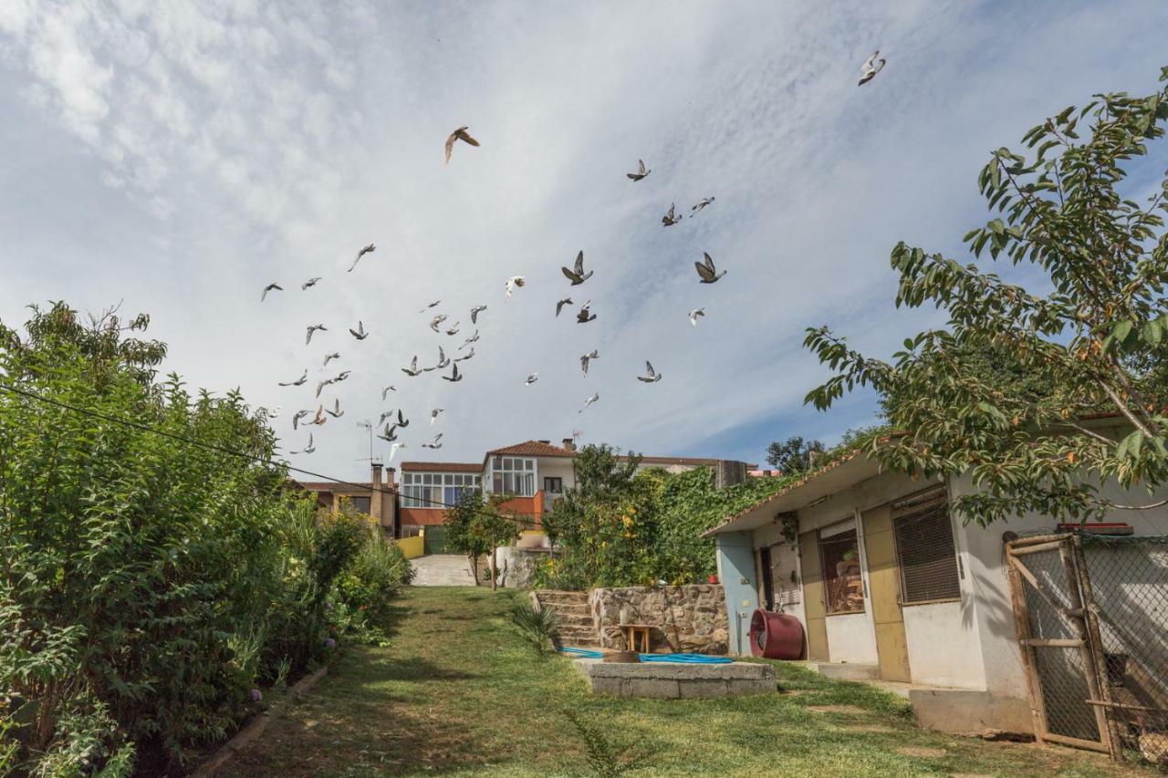 Отель Casa Do Campo Al Caldas de Sao Jorge Экстерьер фото